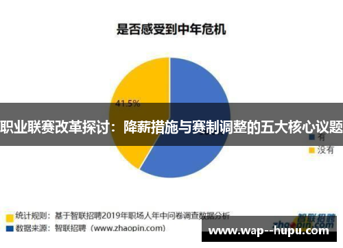 职业联赛改革探讨：降薪措施与赛制调整的五大核心议题