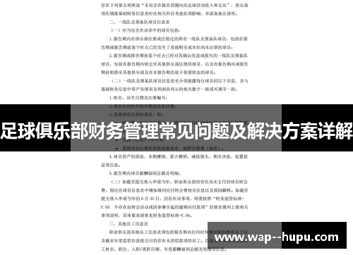 足球俱乐部财务管理常见问题及解决方案详解 足球俱乐部财务管理常见问题及解决方案详解