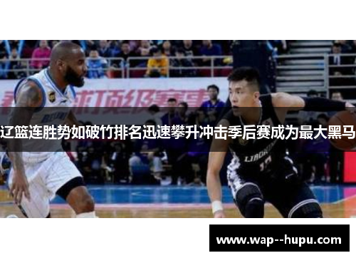 辽篮连胜势如破竹排名迅速攀升冲击季后赛成为最大黑马