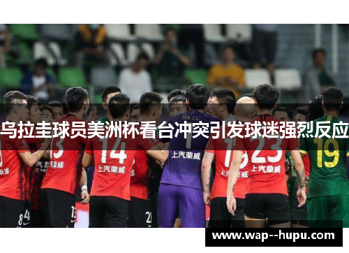 乌拉圭球员美洲杯看台冲突引发球迷强烈反应