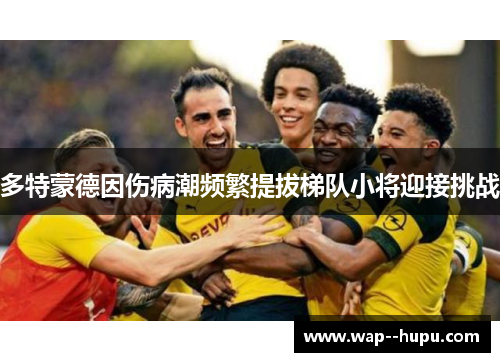 多特蒙德因伤病潮频繁提拔梯队小将迎接挑战