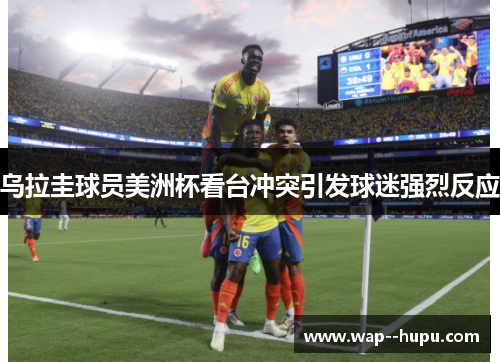 乌拉圭球员美洲杯看台冲突引发球迷强烈反应
